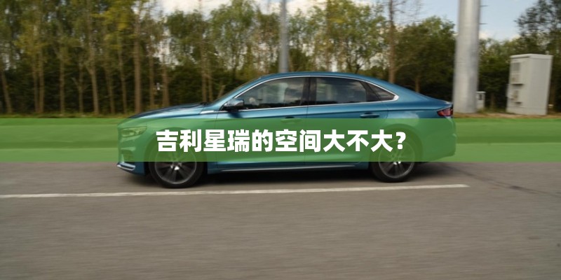 办公室放兰花好不好