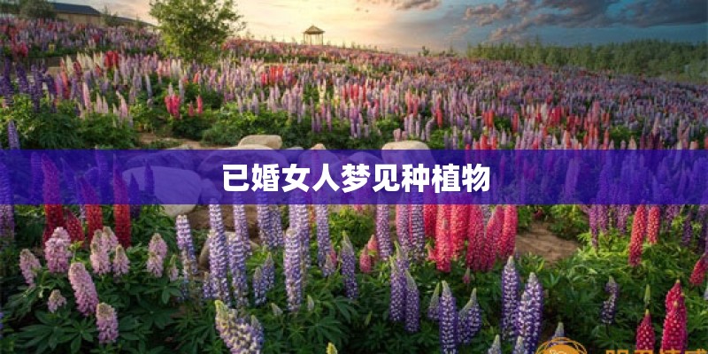 已婚女人梦见种植物