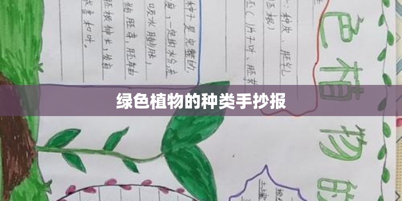 绿色植物的种类手抄报