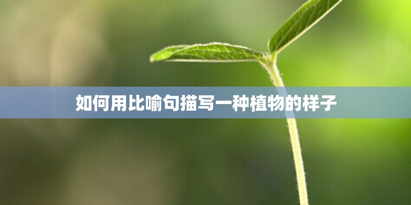 如何用比喻句描写一种植物的样子