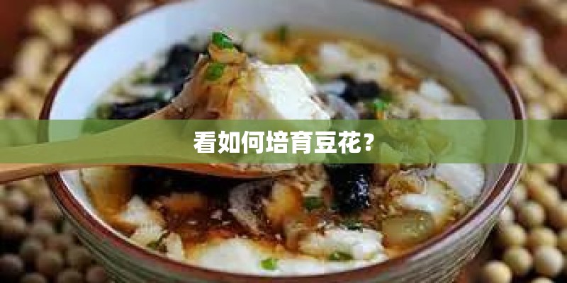 看如何培育豆花? 看如何培育豆花?