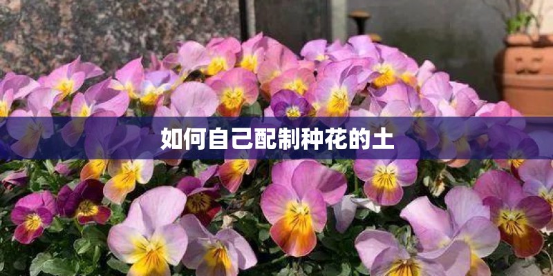 如何自己配制种花的土