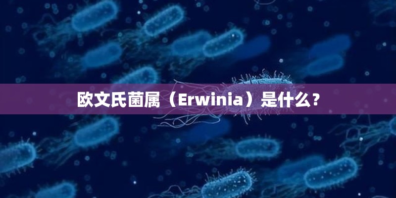 欧文氏菌属（Erwinia）是什么？