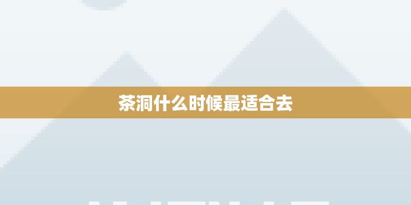 茶洞什么时候最适合去