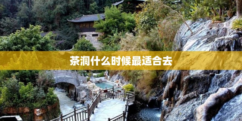 茶洞什么时候最适合去