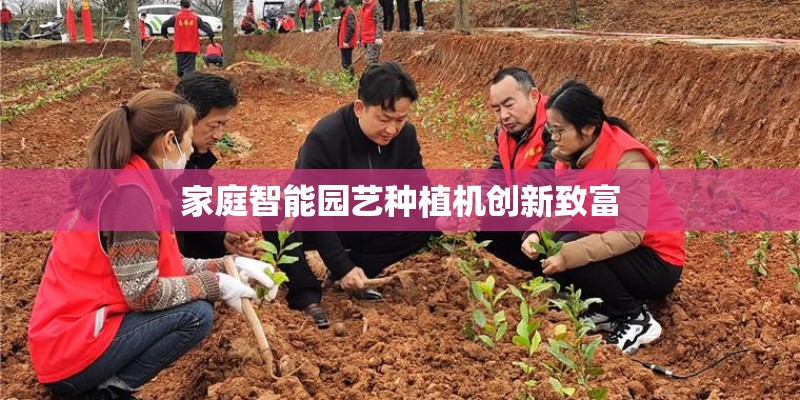 家庭智能园艺种植机创新致富