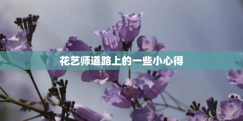 花艺师道路上的一些小心得