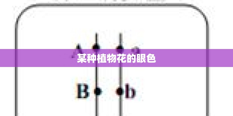 某种植物花的眼色