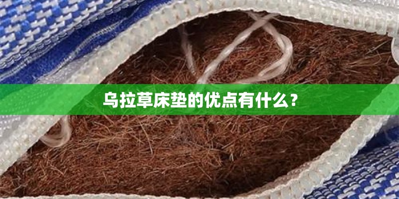 乌拉草床垫的优点有什么？