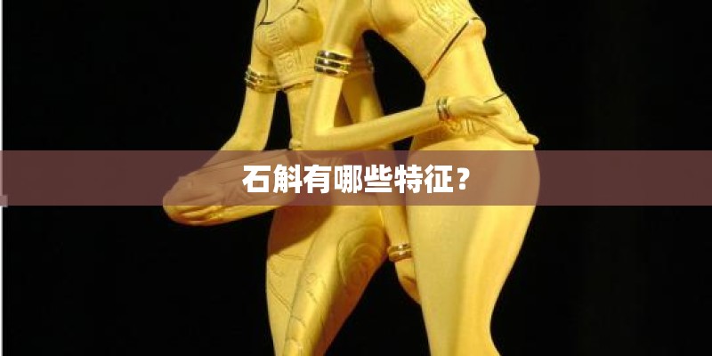 石斛有哪些特征？
