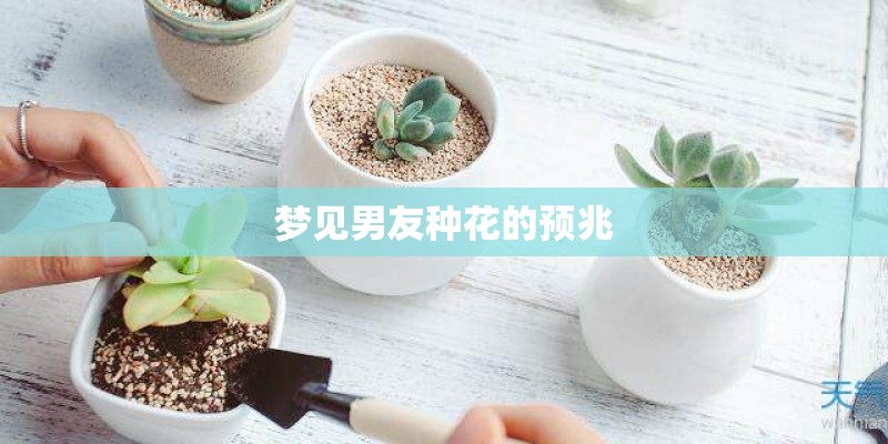梦见男友种花的预兆 梦见男友种花的预兆
