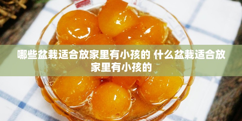 哪些盆栽适合放家里有小孩的 什么盆栽适合放家里有小孩的