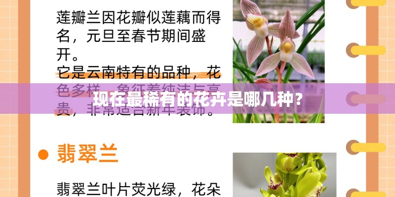 现在最稀有的花卉是哪几种？