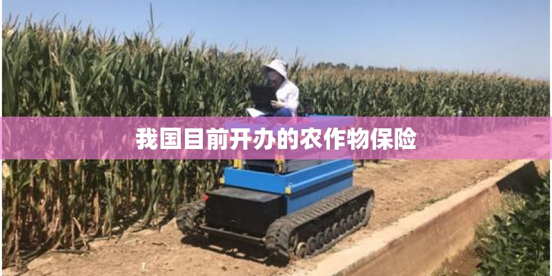 我国目前开办的农作物保险