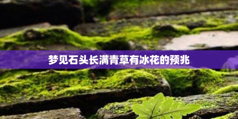 梦见石头长满青草有冰花的预兆