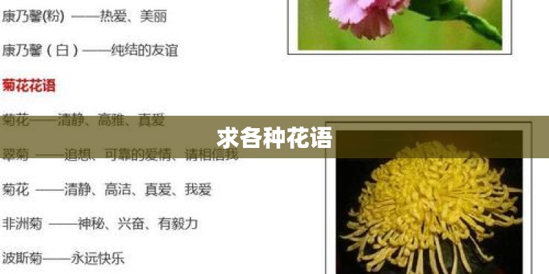 求各种花语