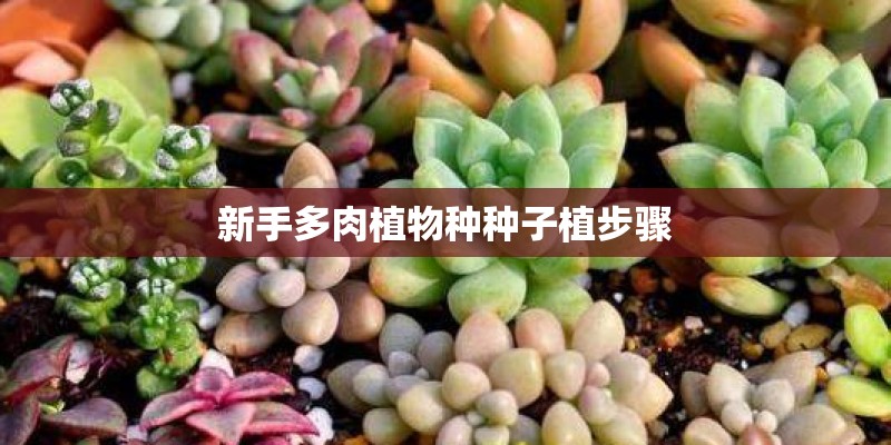 做完手工发朋友圈的句子怎么说？