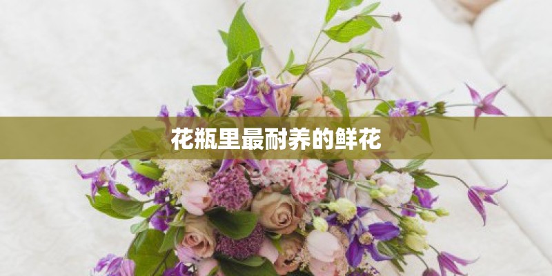 花瓶里最耐养的鲜花