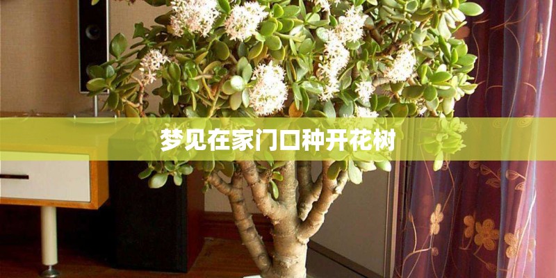 梦见在家门口种开花树