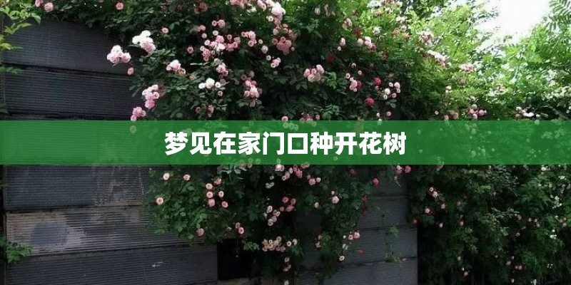 梦见在家门口种开花树