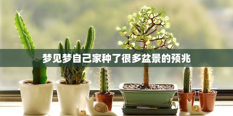梦见梦自己家种了很多盆景的预兆