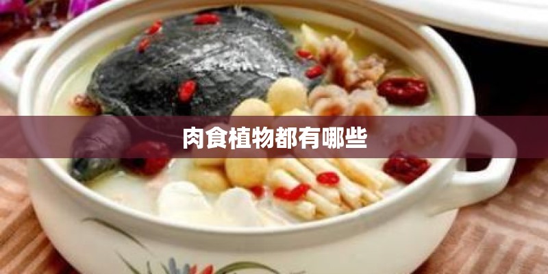肉食植物都有哪些