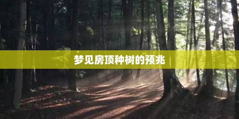 梦见房顶种树的预兆