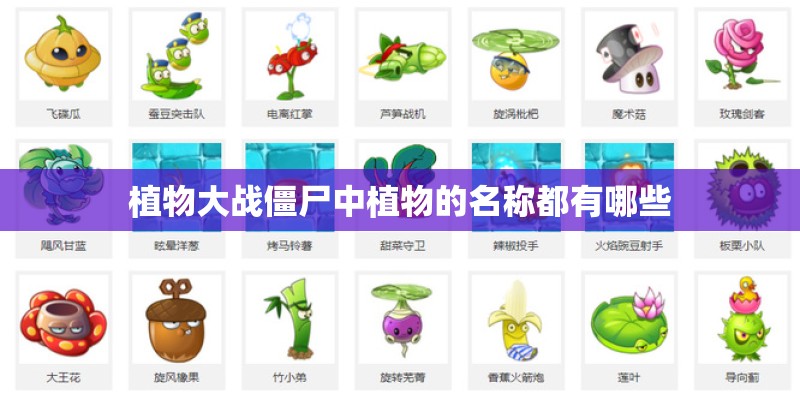 广州海洋馆好玩吗？