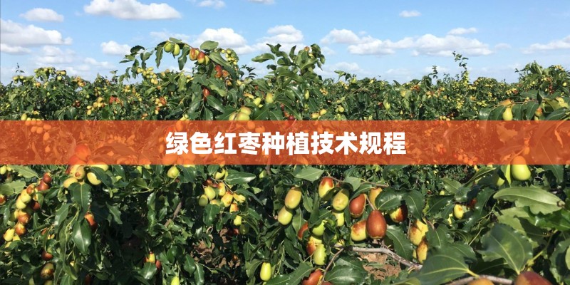 绿色红枣种植技术规程