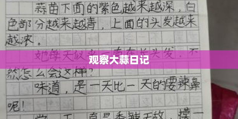 观察大蒜日记