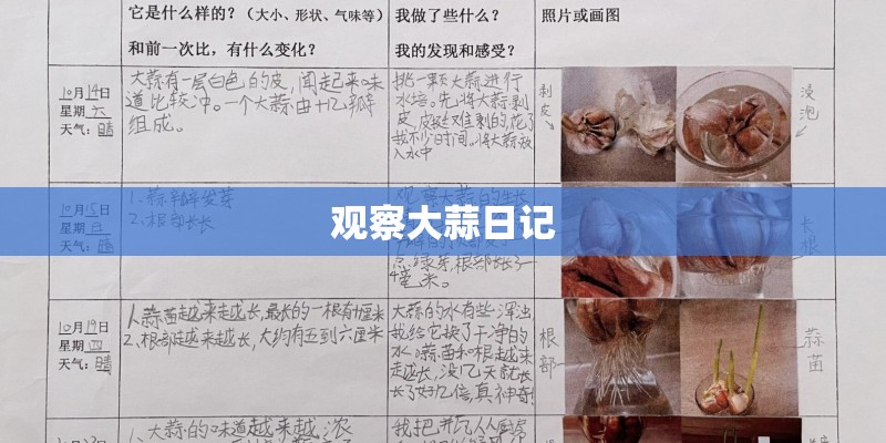 观察大蒜日记