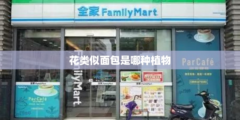 花类似面包是哪种植物