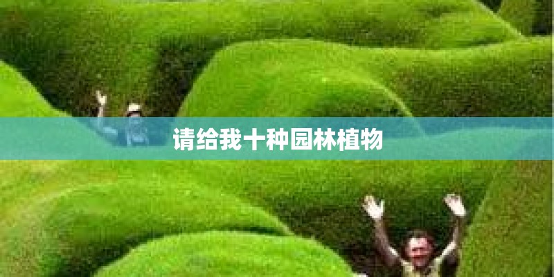 请给我十种园林植物