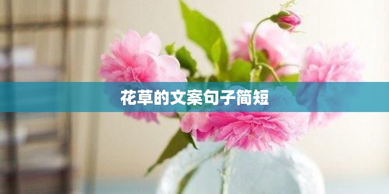 花草的文案句子简短