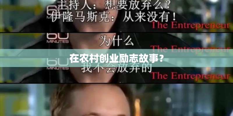 在农村创业励志故事？