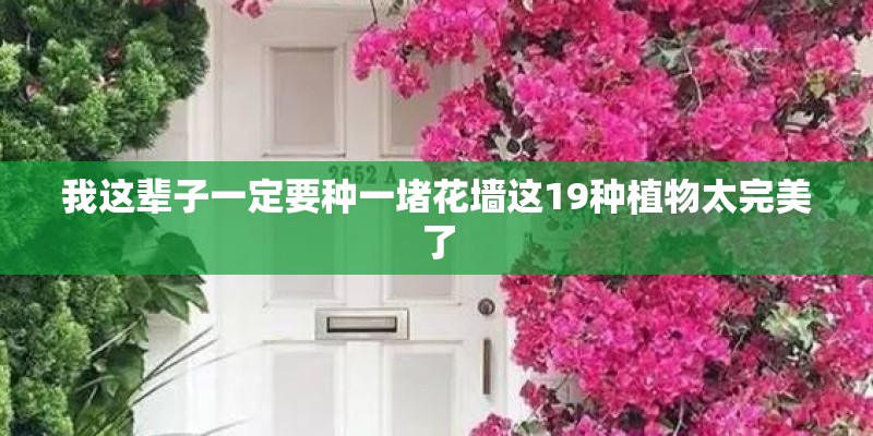我这辈子一定要种一堵花墙这19种植物太完美了
