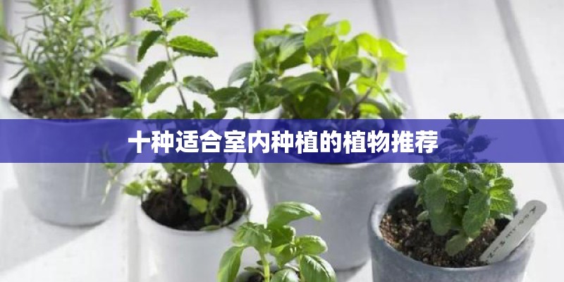 中国十大旅游胜地有哪些？