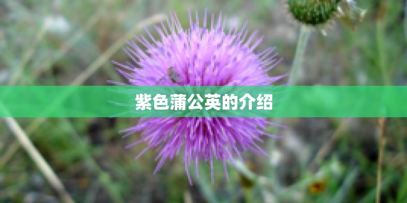 中国十大旅游胜地有哪些？