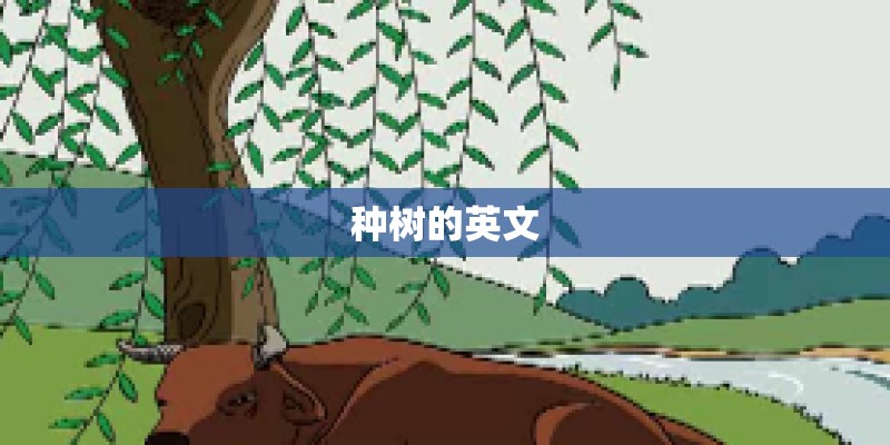 种树的英文 种树的英文