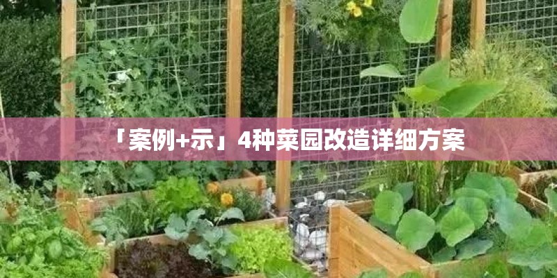 「案例+示」4种菜园改造详细方案