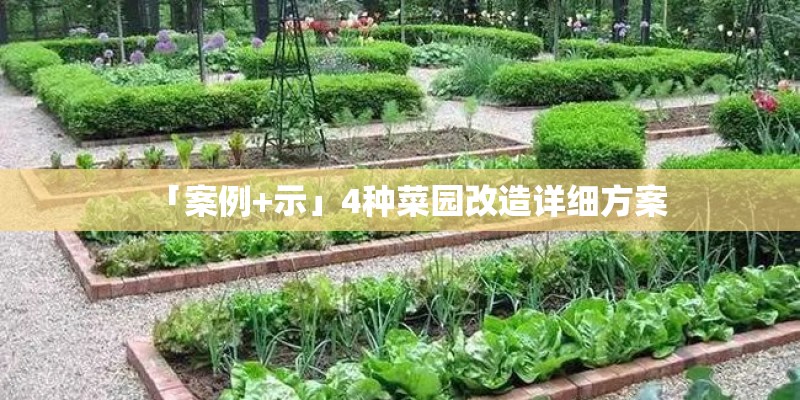 「案例+示」4种菜园改造详细方案