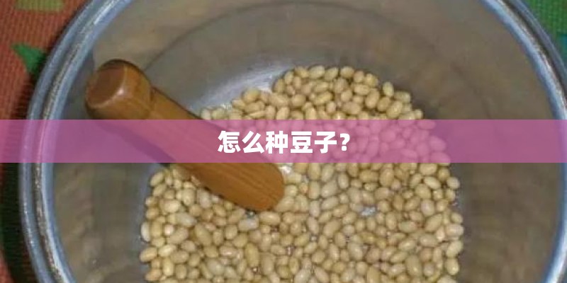 怎么种豆子？