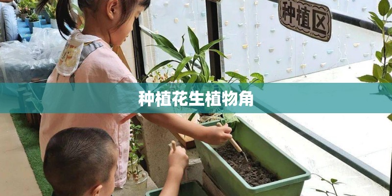 种植花生植物角