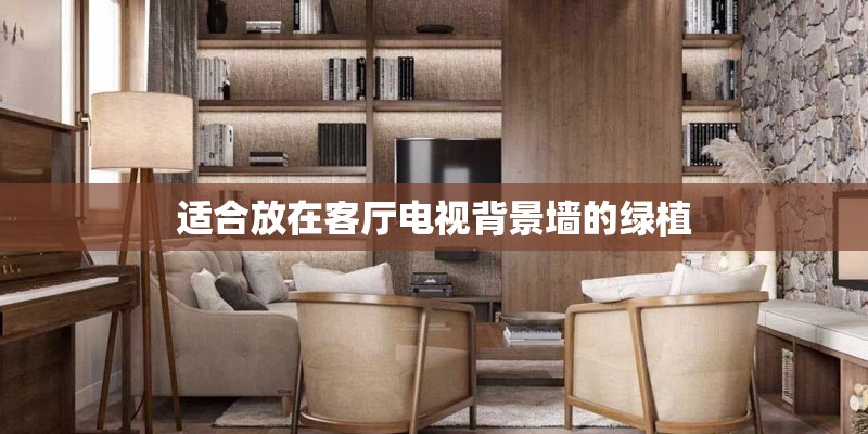 适合放在客厅电视背景墙的绿植