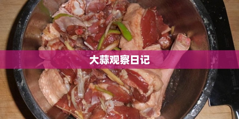 大蒜观察日记