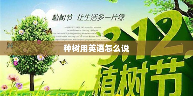 种树用英语怎么说