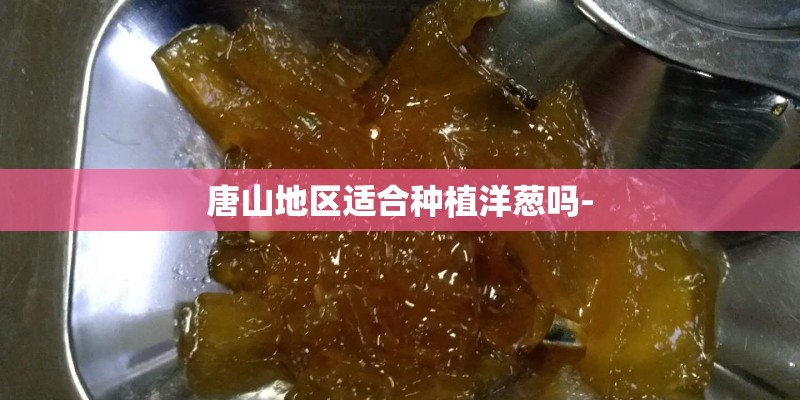 唐山地区适合种植洋葱吗-