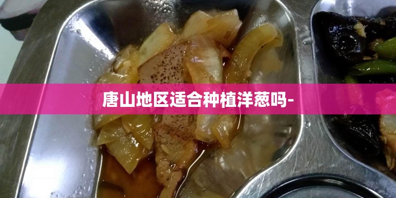 唐山地区适合种植洋葱吗-