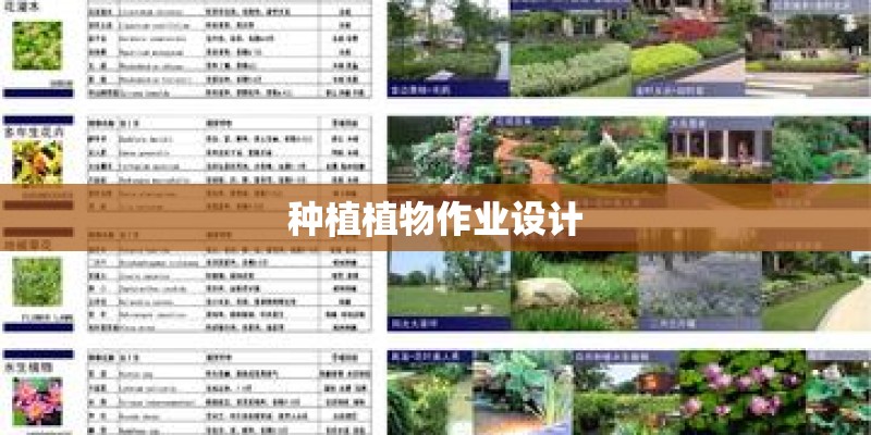 种植植物作业设计