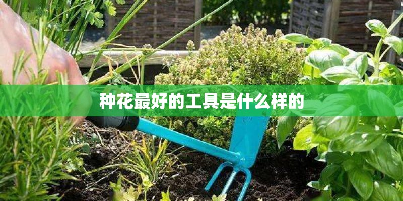种花最好的工具是什么样的